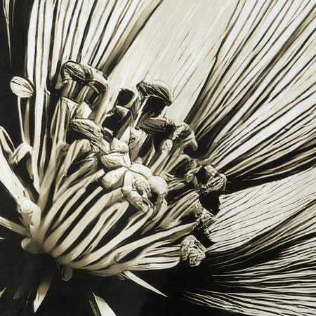 KOMPLET POŚCIELI SATYNOWEJ SPRING 78 220 X 200 CM JASNOBEŻOWY